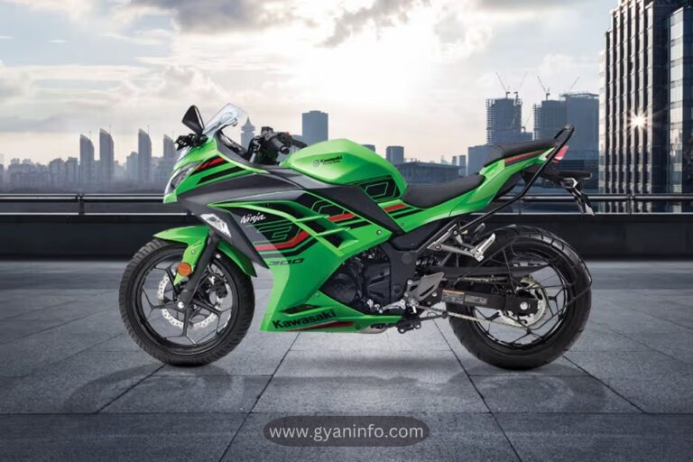 Kawasaki Ninja 300 A Powerful Combination of Style and Speed