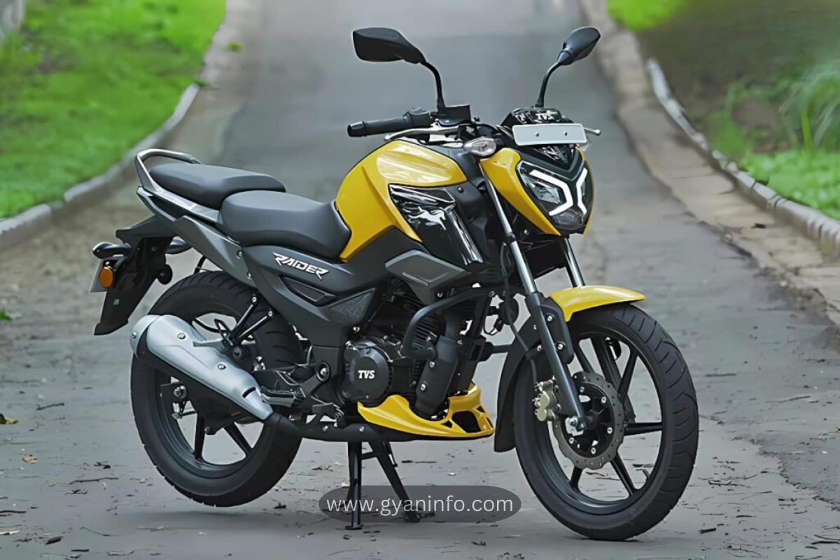 TVS Raider 125: A Perfect Blend of Performance and Style